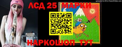 гидра Моздок