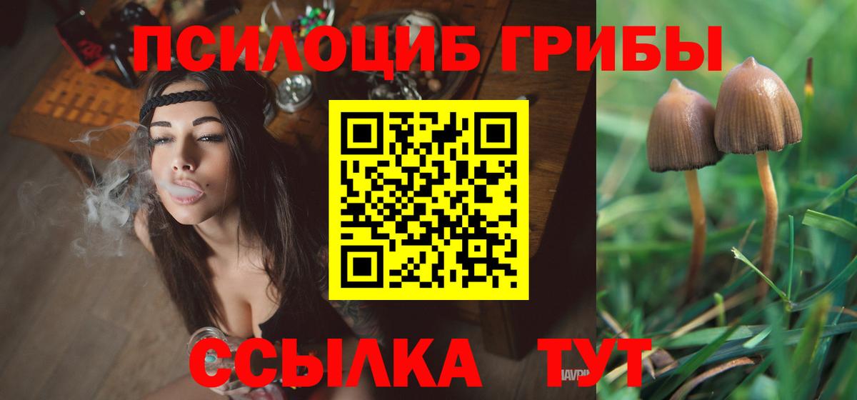 Дзержинский  Галлюциногенные грибы Psilocybine cubensis  Вход с VPN  купить наркоту  Псилоцибиновые грибы MAGIC MUSHROOMS 